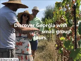 tasteofgeorgia.tours