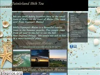 tatnicland.com