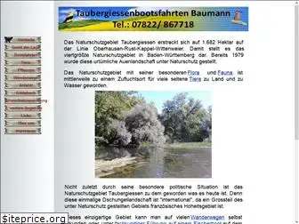 taubergiessenbootsfahrt.de