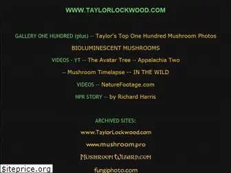 taylorlockwood.com