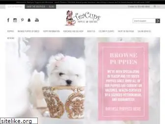 teacupspuppies.com