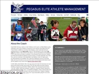 team-pegasus.com