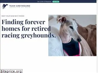 teamgreyhound.com
