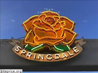 teamspringdale.com