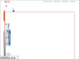 techvisionelectronics.com