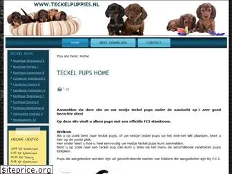 teckelpuppies.nl