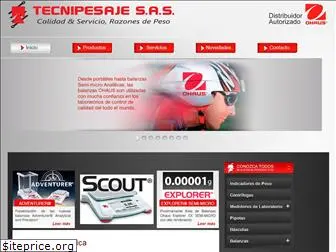 tecnipesaje.com