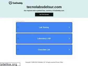 tecnolabsdelsur.com