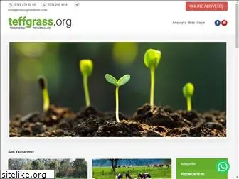 teffgrass.org