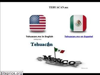 tehuacan.mx