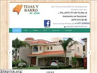 tejasybarro.com