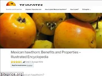 tejocotes.com