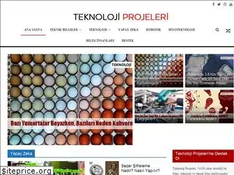 teknolojiprojeleri.com