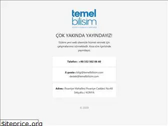 temelbilisim.com.tr