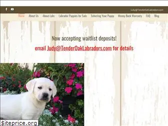 tenderoaklabradors.com