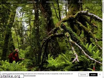 termasdepuyuhuapi.cl