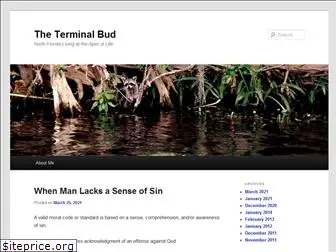 terminalbud.com