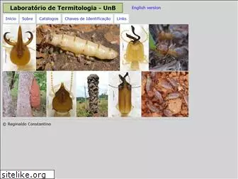 termitologia.net