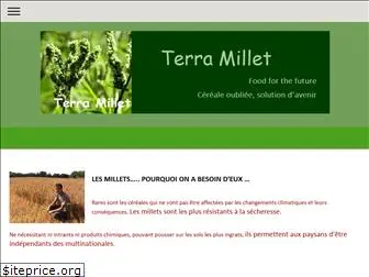 terramillet.com