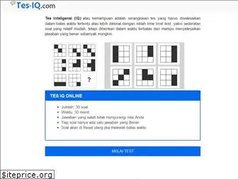 tes-iq.com