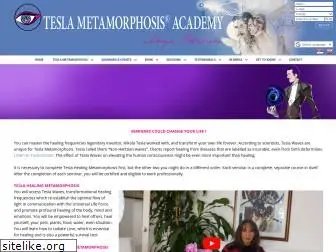 teslametamorphosis.com