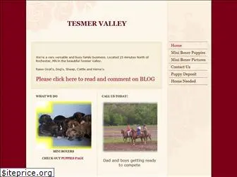 tesmervalley.com