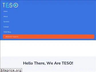 tesosoft.com