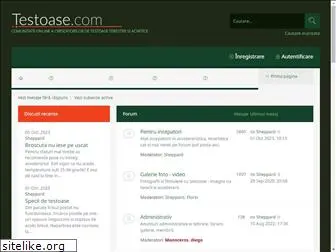 testoase.com