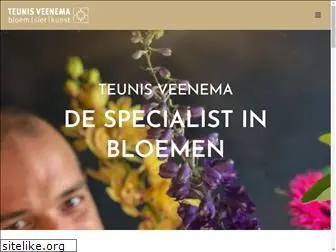 teunisveenema.nl