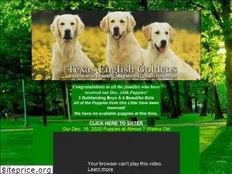 texasenglishgoldens.com