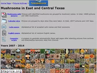 texasmushrooms.org