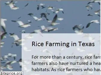 texasricefarming.org