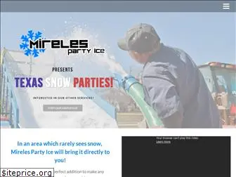 texassnowparty.com