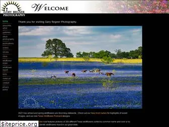 texaswildflowerpictures.com