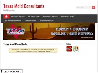 texconsultants.com