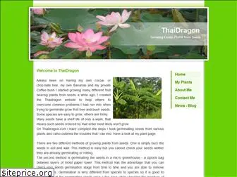 thaidragon.com