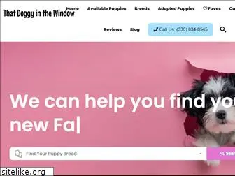 thatdoggyinthewindow.com