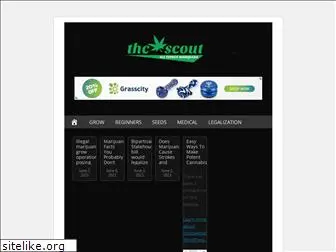 thcscout.com