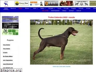 the-dobermann.com