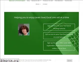 the-excel-expert.com