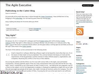 theagileexecutive.com