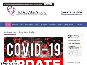 thebabyskanstudio.com