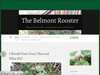 thebelmontrooster.com