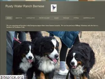 thebernese.com