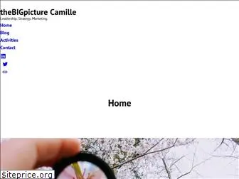 thebigpicturecamille.com