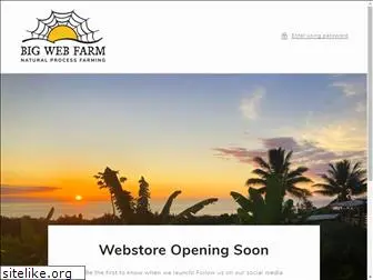 thebigwebfarm.com