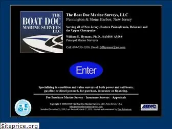 theboatdocmarinesurveys.com