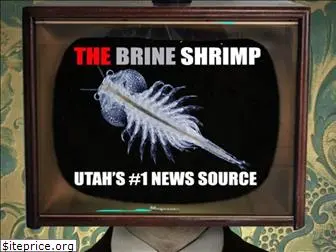 thebrineshrimp.com