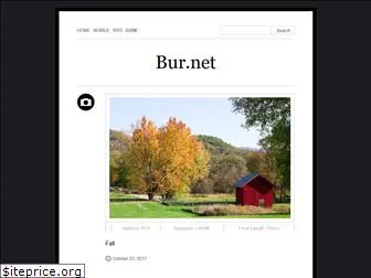 thebur.net