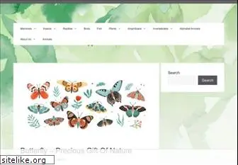 thebutterflysite.com